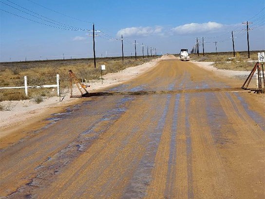 Long dirt road leading into the distance with a cattle guard in the middle of it.